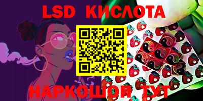 PSILOCYBIN Кулебаки