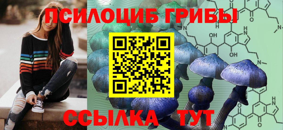 Галлюциногенные грибы Magic Shrooms  Вход с VPN  Кострома 