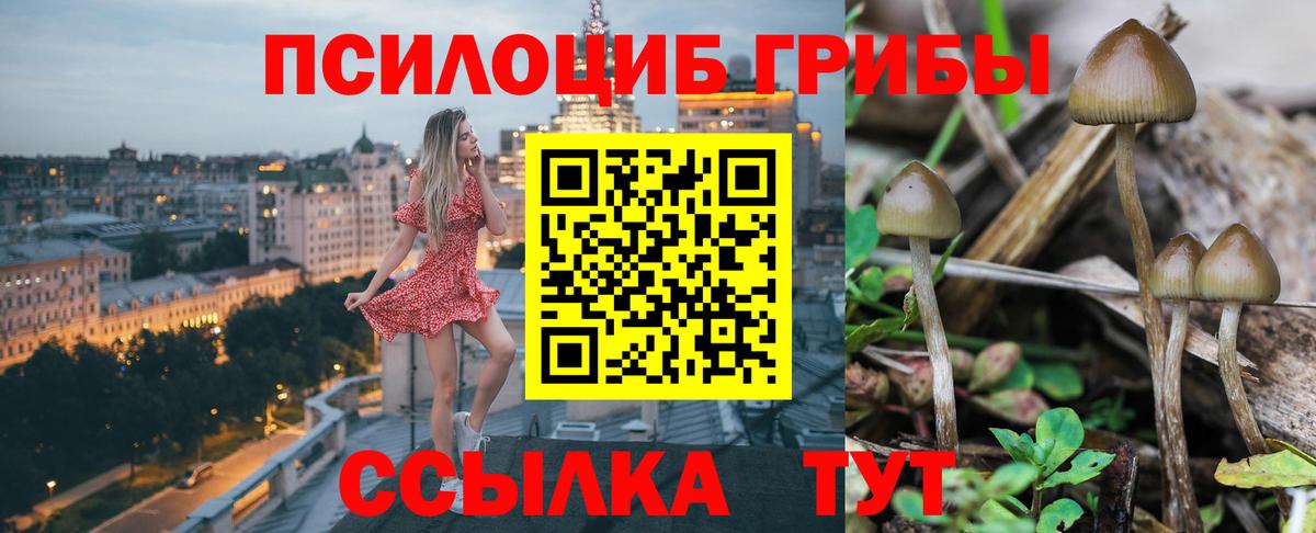 Псилоцибиновые грибы GOLDEN TEACHER Кострома